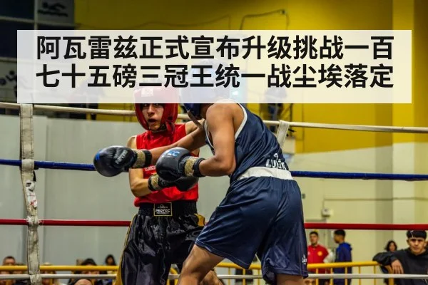 boxing match action